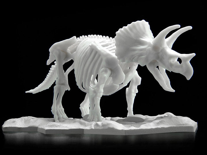 Limex Skeleton Triceratops Dinosaur Model Kit