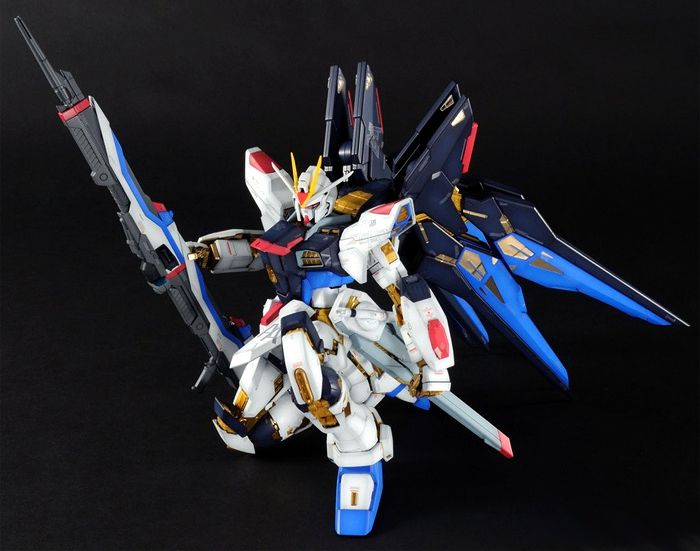 PG ZGMF-X20A Strike Freedom Gundam
